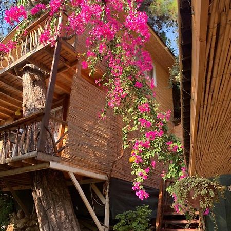 Large Bungalow With Sea View In Kabak Bay, Oeluedeniz Фетхіє Екстер'єр фото